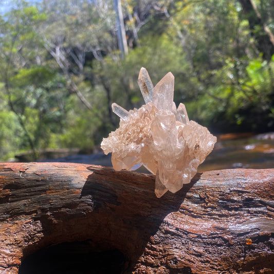 Himalayan Quartz Cluster No1